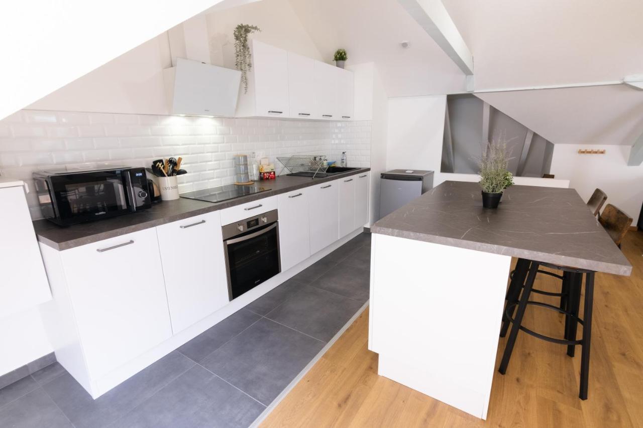 Appartement Atypique Proche Gare/ Dans L'Hyper-Centre Spacieux Pour 6P Au Coeur De Mulhouse Exterior photo